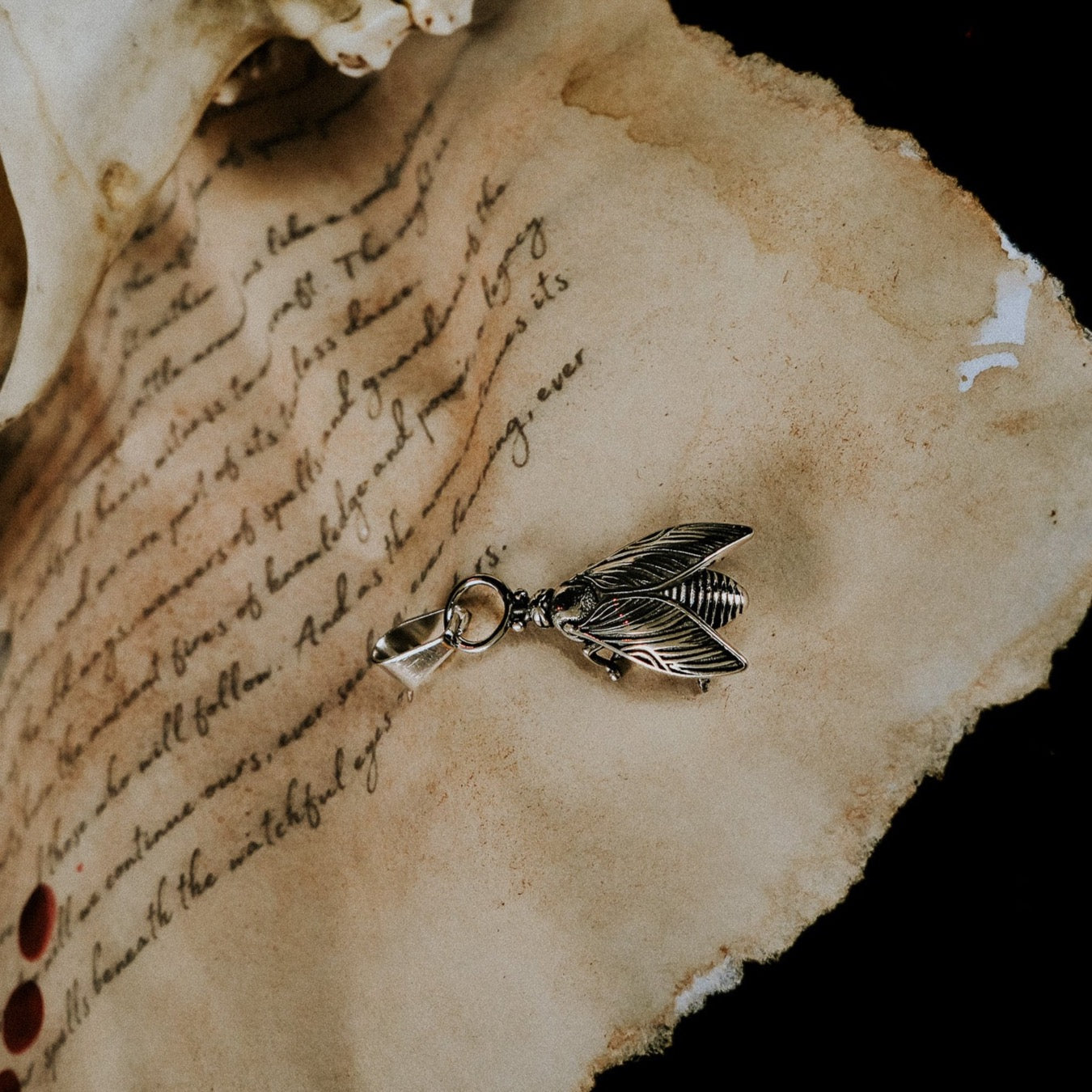 Charm Coven Fly Charm Mysticum Luna