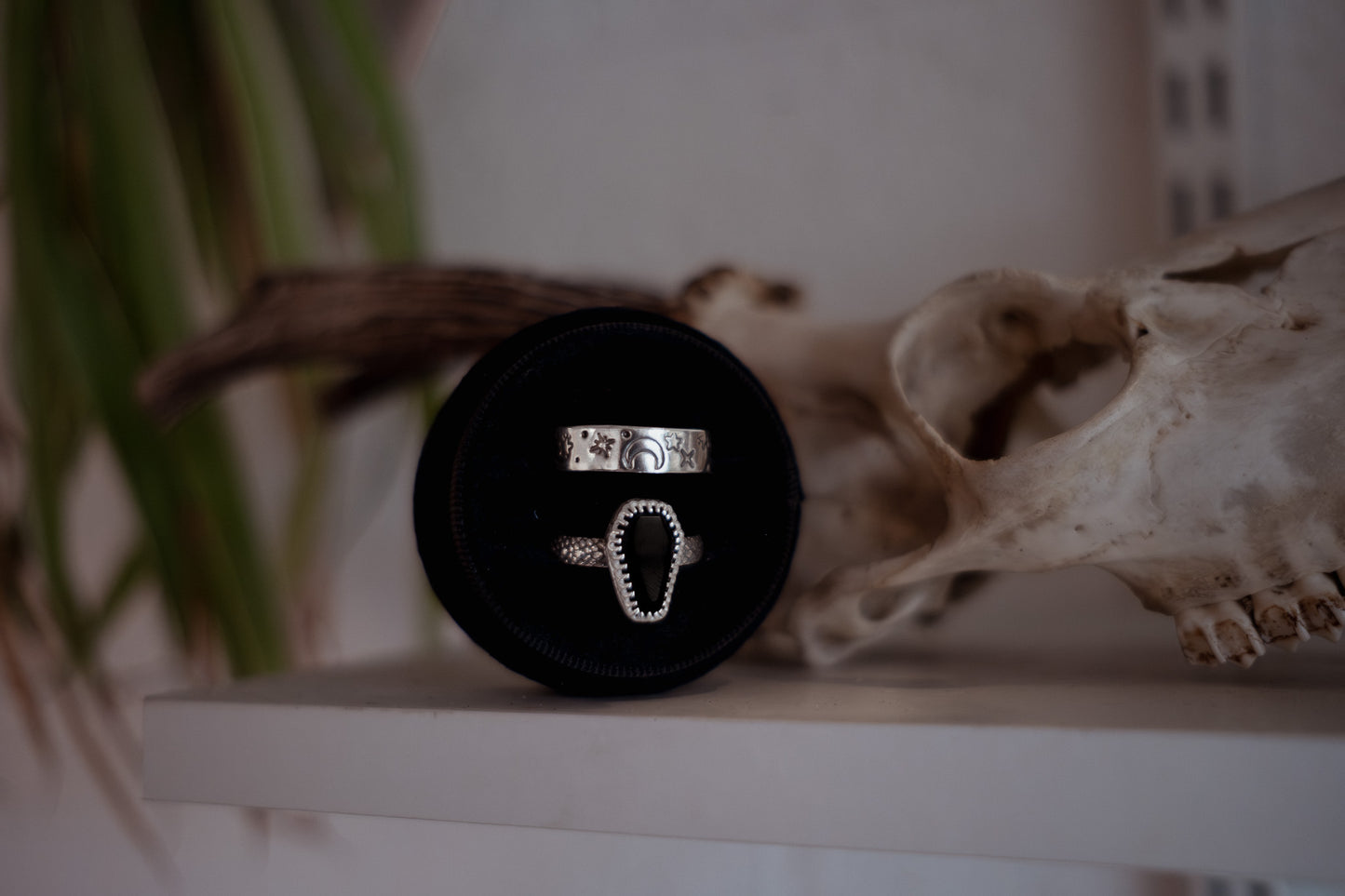 Black Coffin Snake Band Ring - Size W