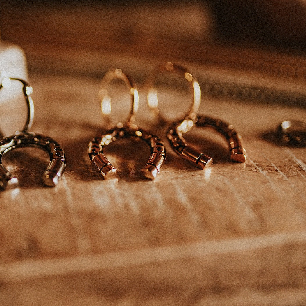 Lucky Charm Horseshoe Hoop Earrings Gold Mysticum Luna