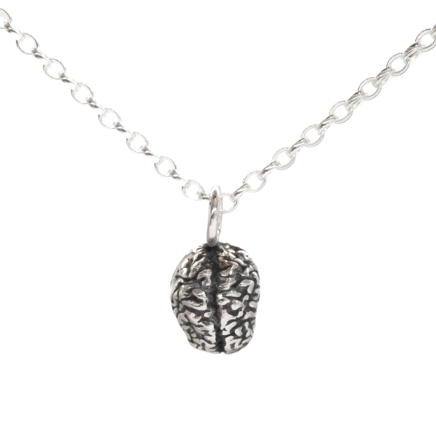 Silver necklace with a brain-shaped pendant on a white background