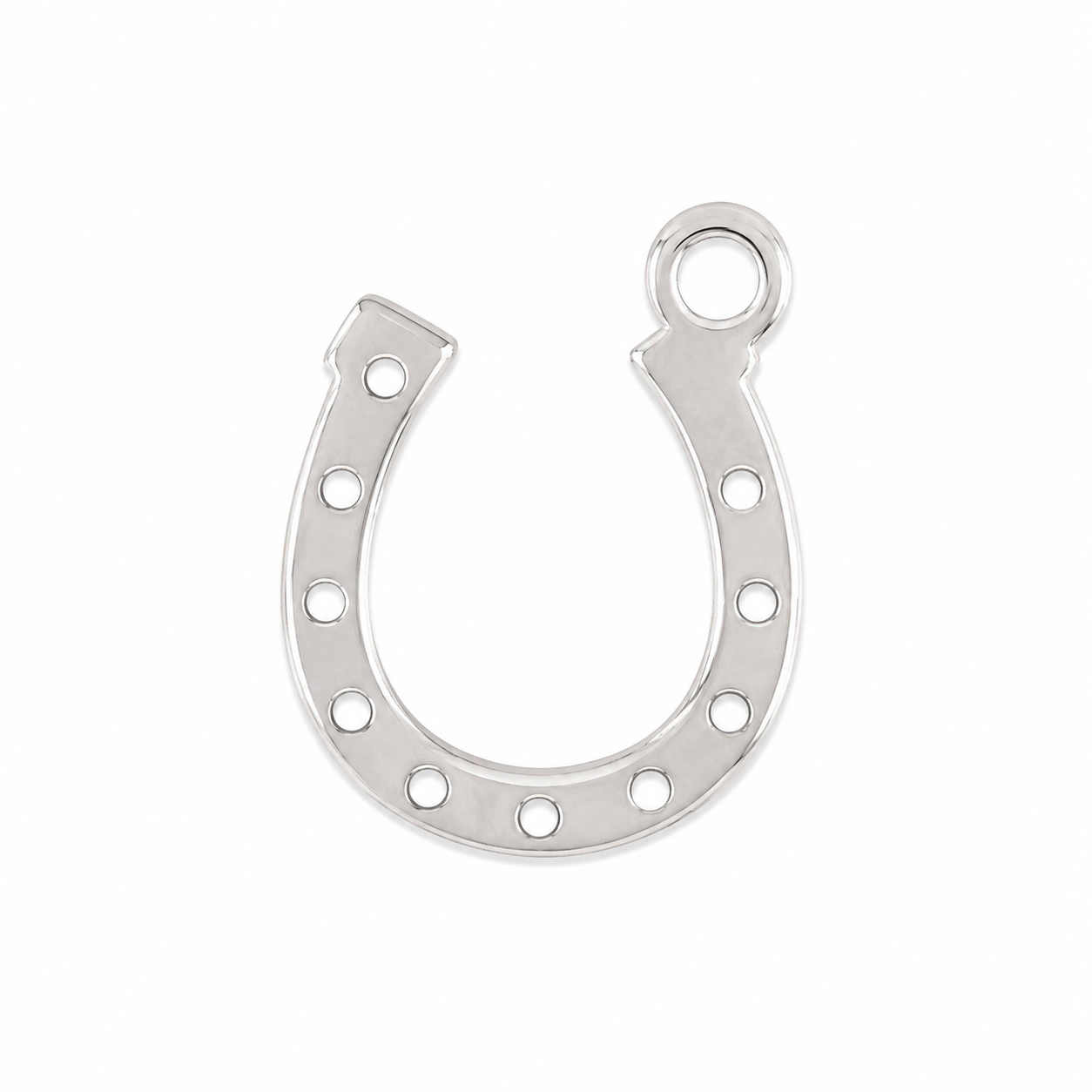 Horseshoe Charm