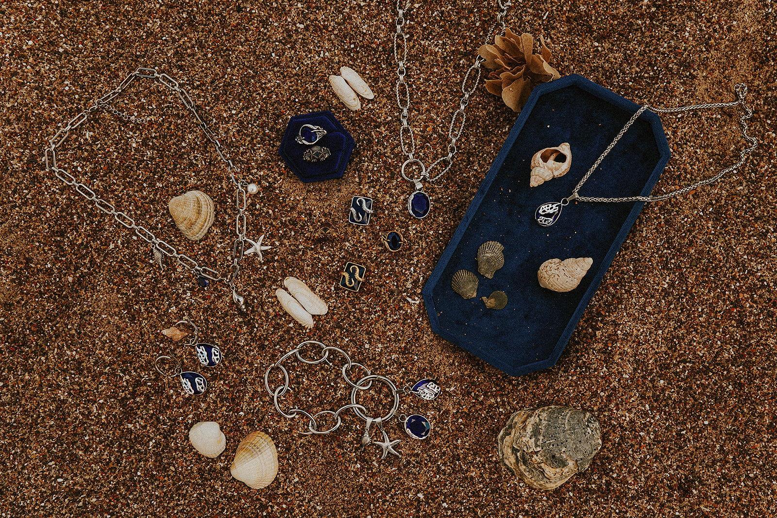 Sovereigns Of The sea | Sea witch Collection