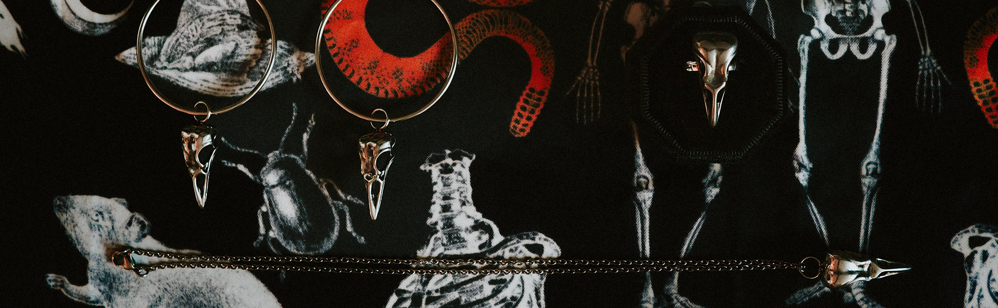 Raven | Bird Skull Jewellery Collection