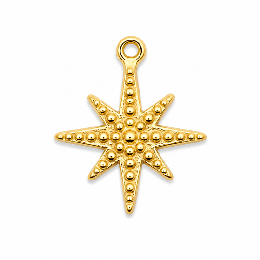 Gold Detailed North Star Charm