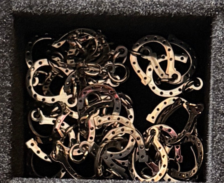 Horseshoe Charm