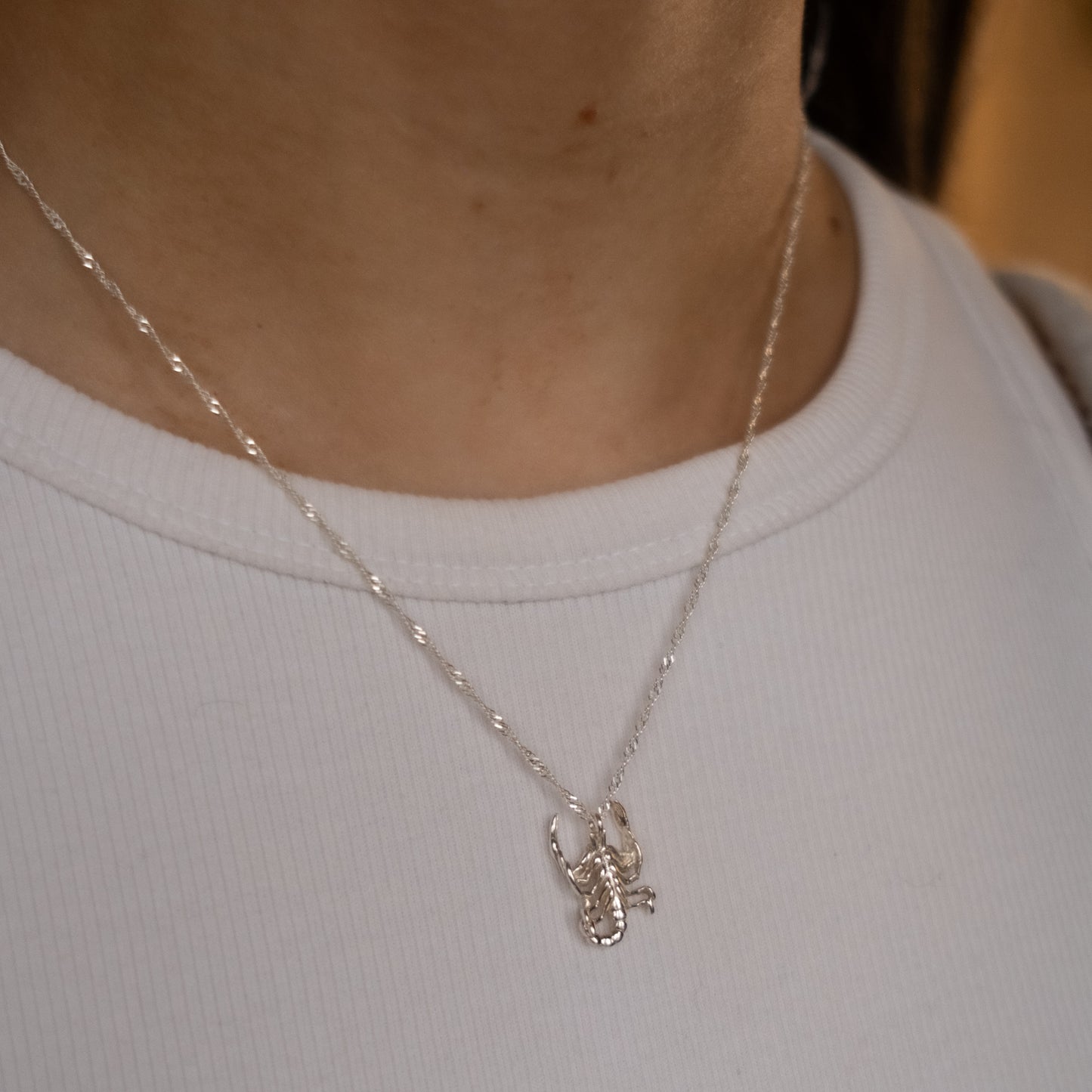 Sterling Silver Scorpion Twisted Rope Chain Necklace