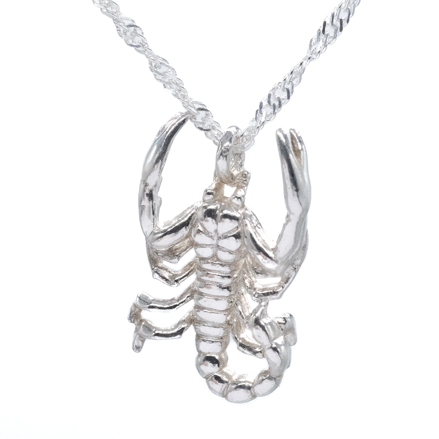 Sterling Silver Scorpion Twisted Rope Chain Necklace