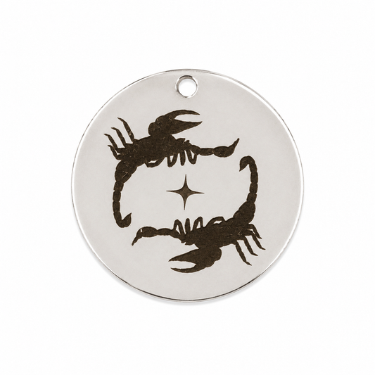 Scorpion Stars Charm
