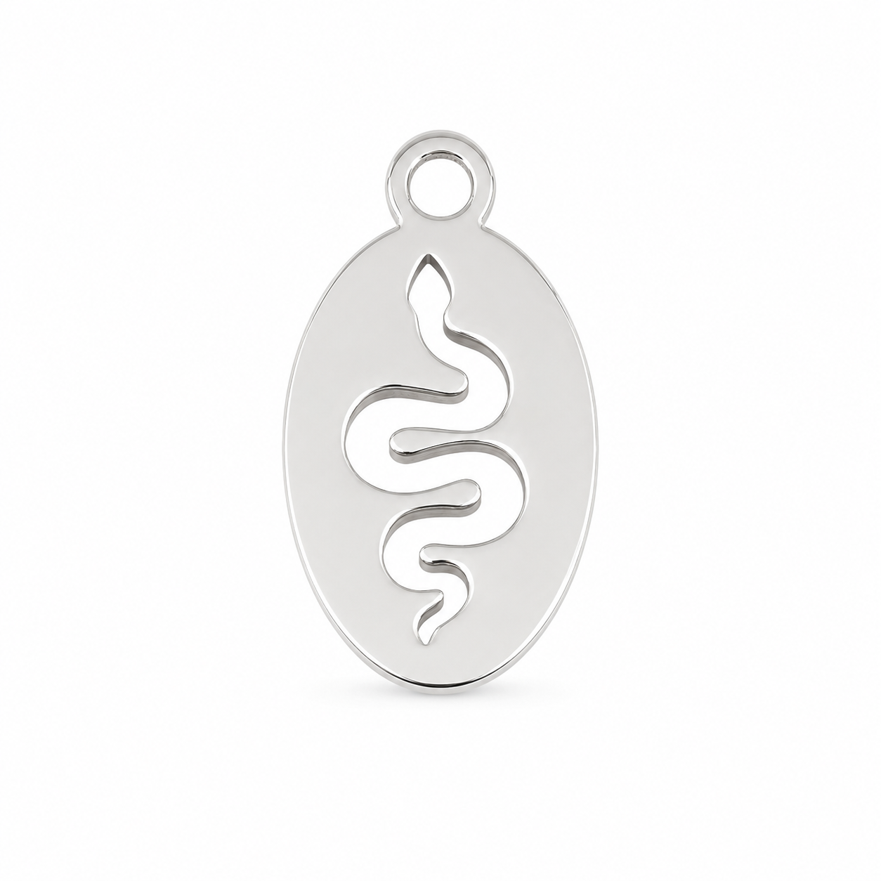 Snake Oval Charm